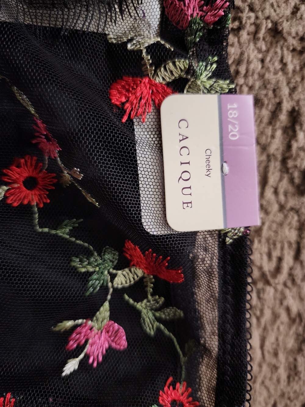Cacique Black Bikini Panty with Pink and Red Floral Embroidery - Picture 2 of 3